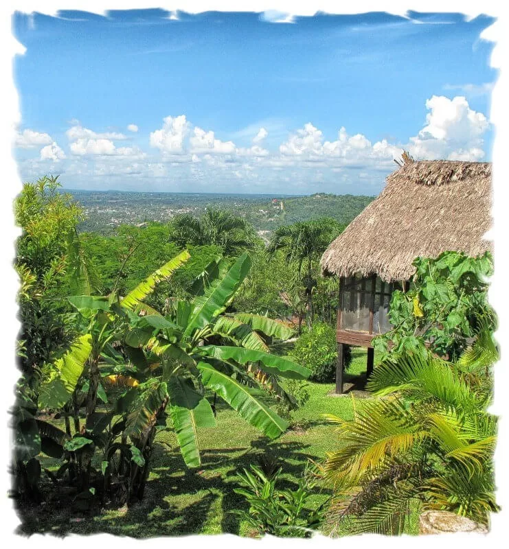 Bio Manu Expeditions