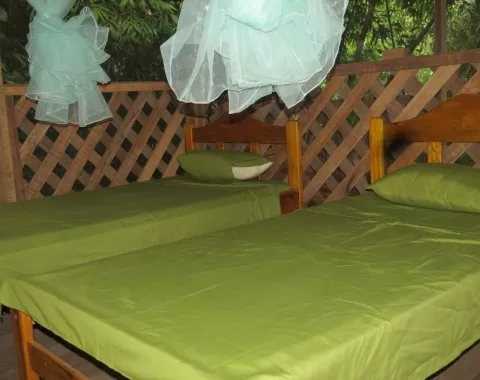 Manu Rainforest Lodge