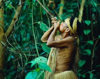 Cusco to Manu National Park Peru | Best Manu National Park Tours