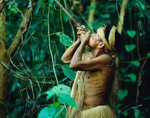 Cusco to Manu National Park Peru | Best Manu National Park Tours