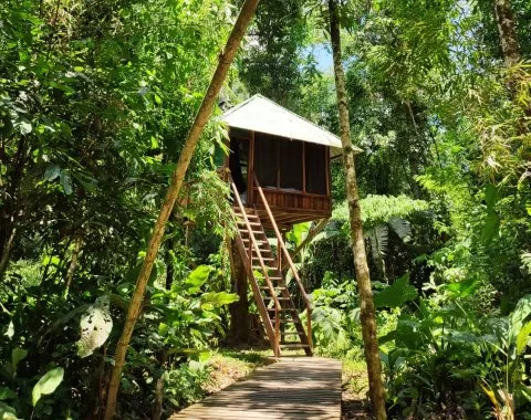 Treehouse Lodge