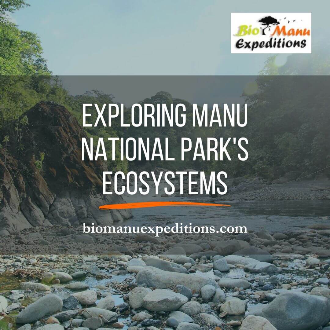 Exploring Manu National Park's Ecosystems