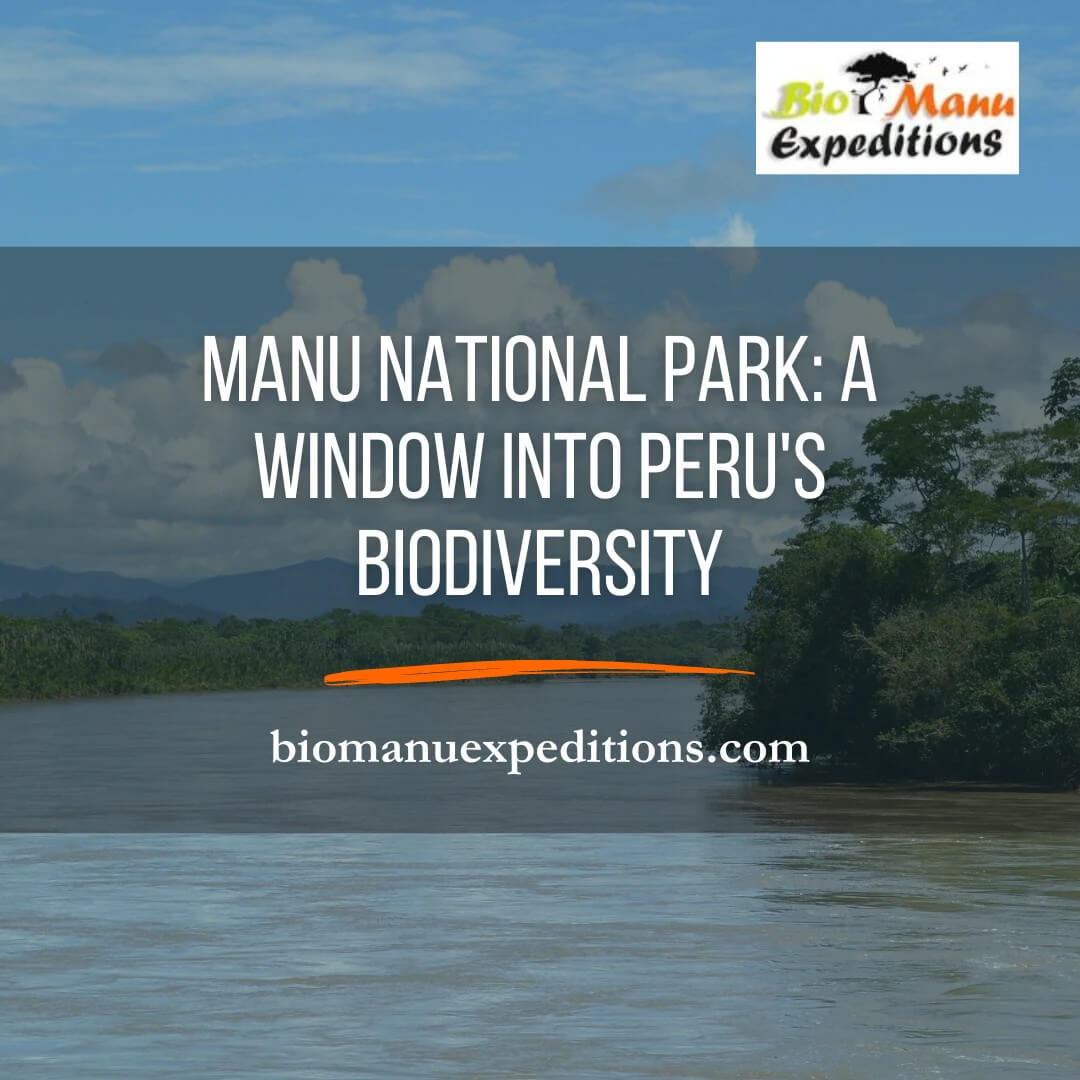 Manu National Park: A Window into Peru's Biodiversity