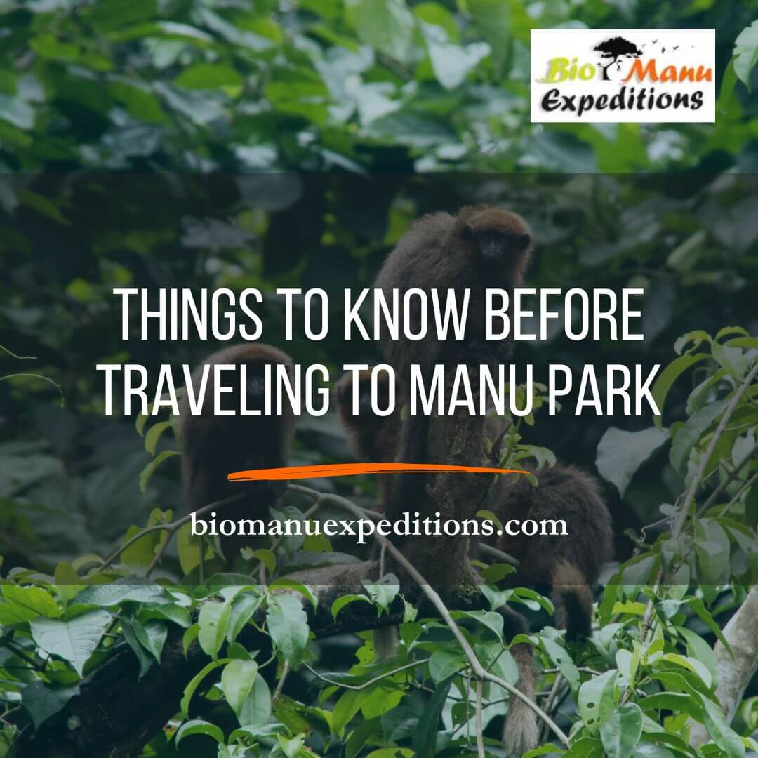 Things to know before traveling to Manu Park