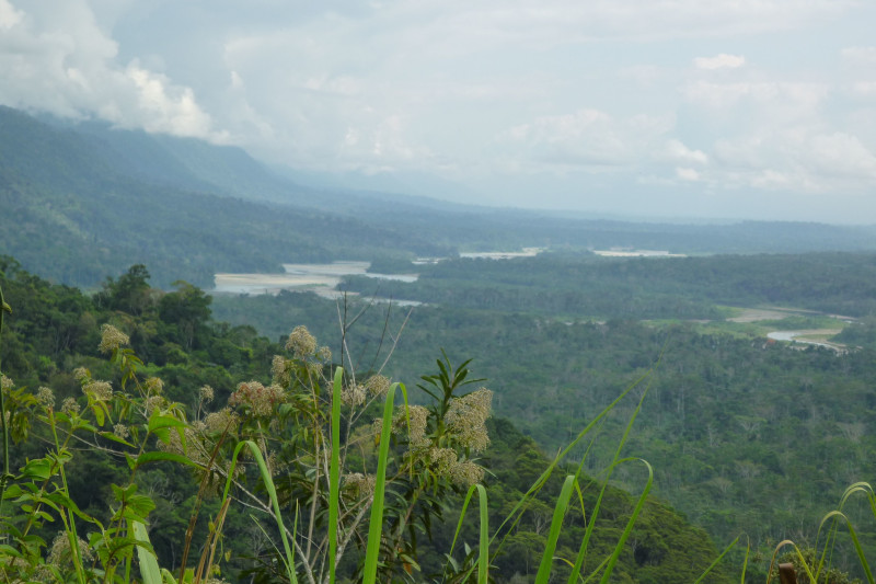 Exploring Manu National Park's Ecosystems