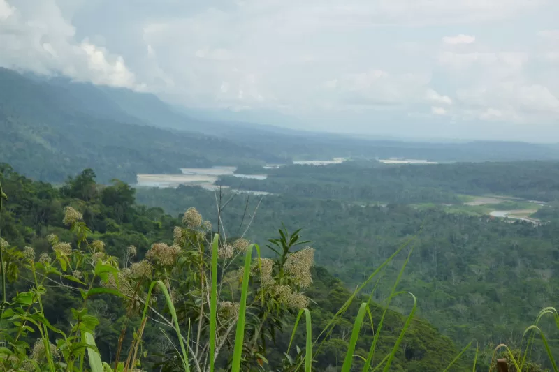 Exploring Manu National Park's Ecosystems