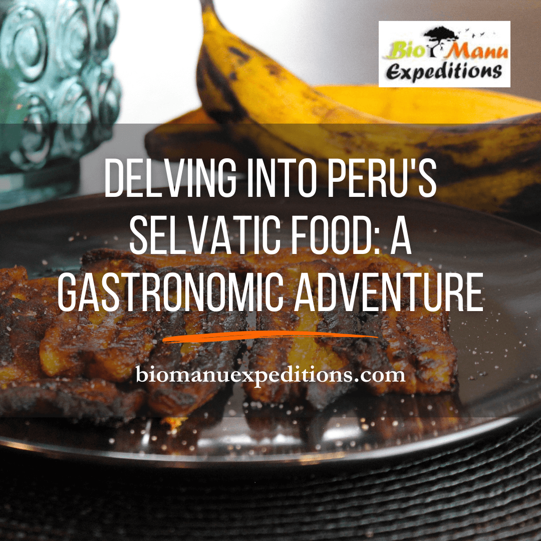 Peru's Selvatic Food