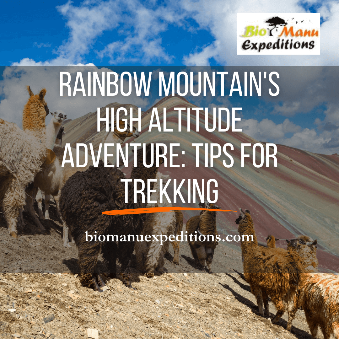 Rainbow Mountain's High Altitude Adventure Tips for the Trekking