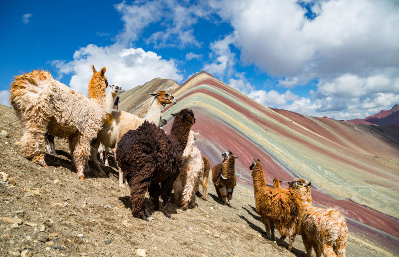 Rainbow Mountain's High Altitude Adventure Tips for the Trekking