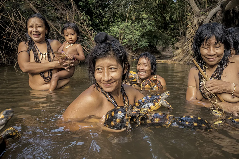 The Amazon River: Its Importance and Mysteries