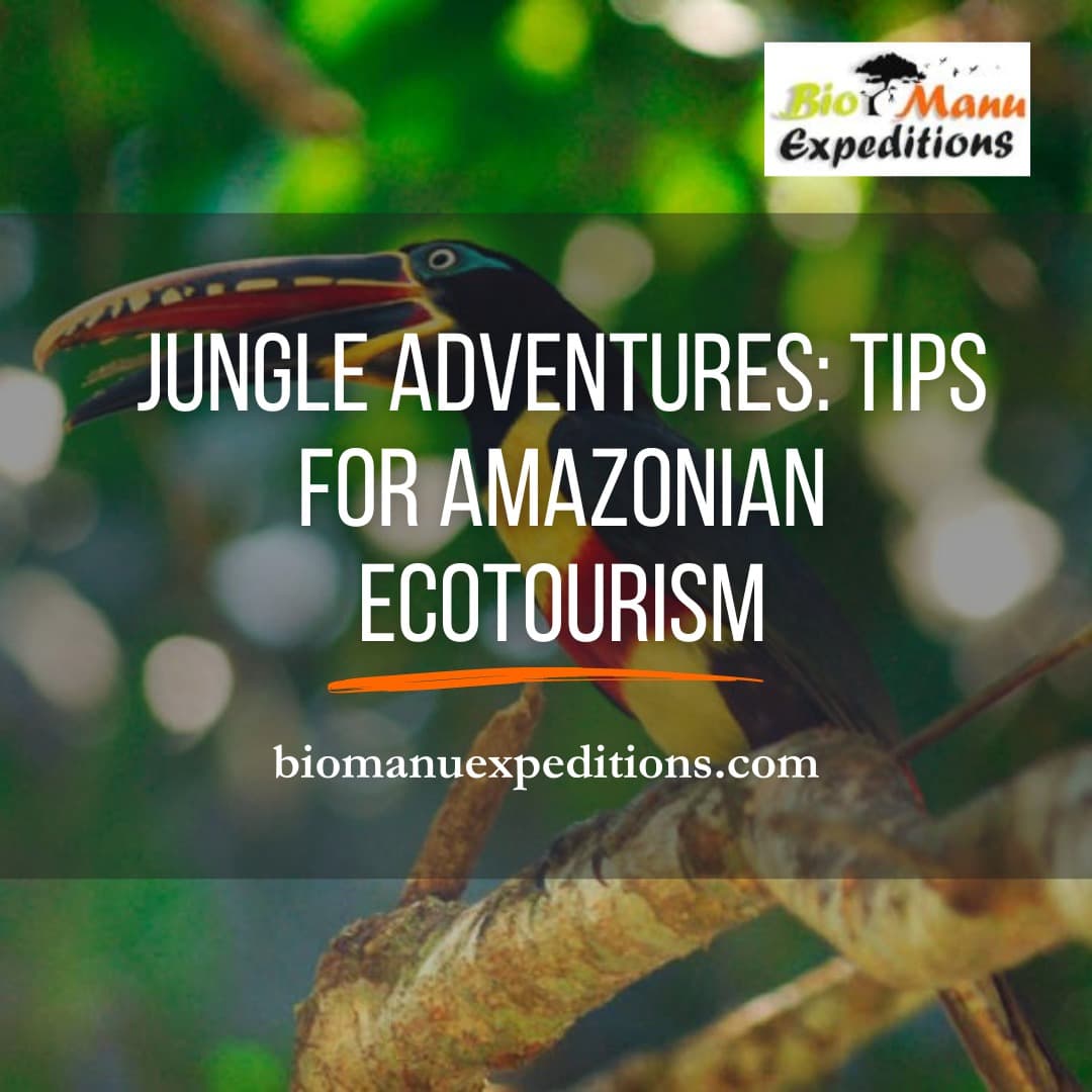 Jungle Adventures: Tips for Amazonian Ecotourism