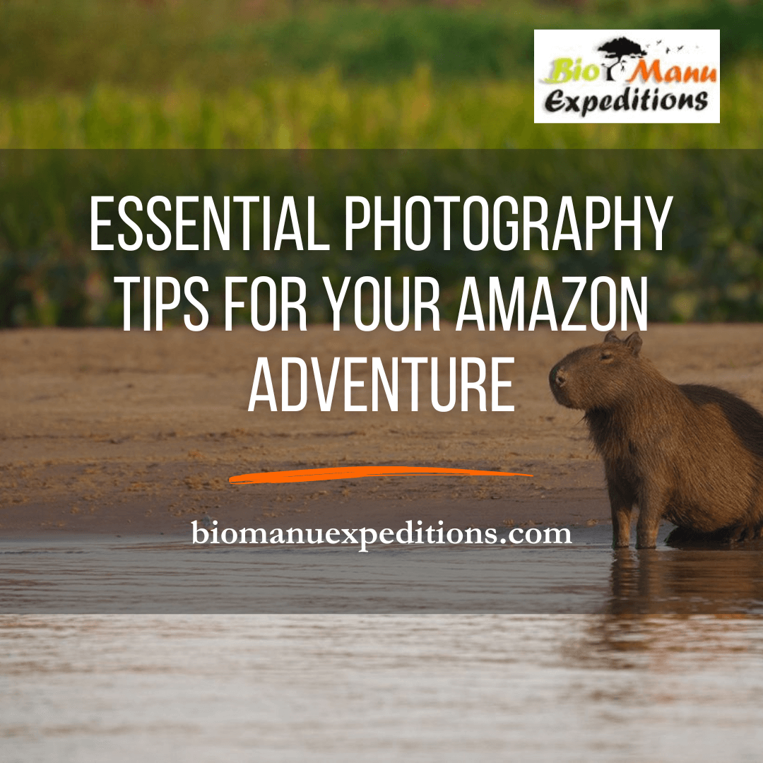 Essential Photography Tips for Your Amazon Adventure