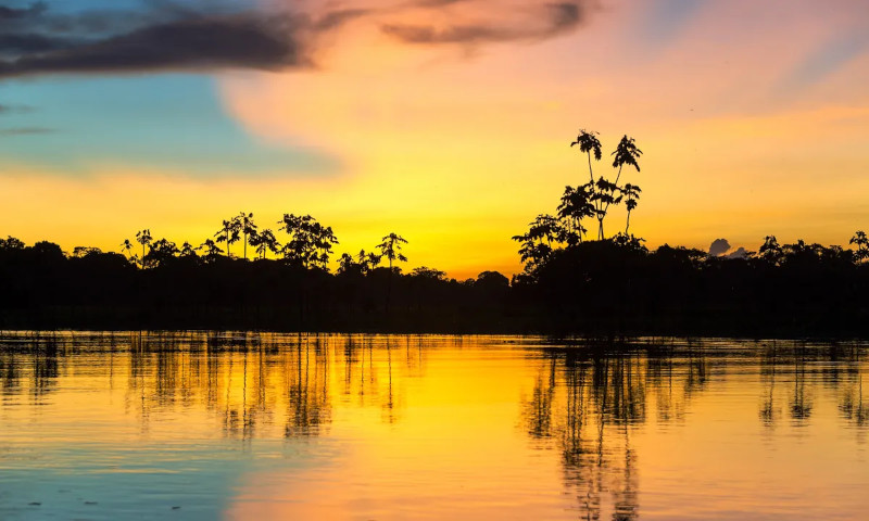 Essential Photography Tips for Your Amazon Adventure