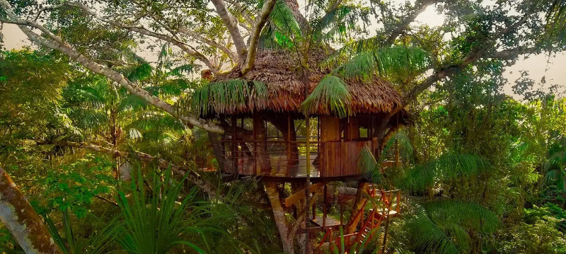 Lodges and Eco-Resorts: Sustainable Tourism in the Peruvian Amazon