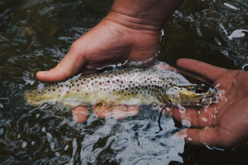 Rustic Fishing Tourism in Manu