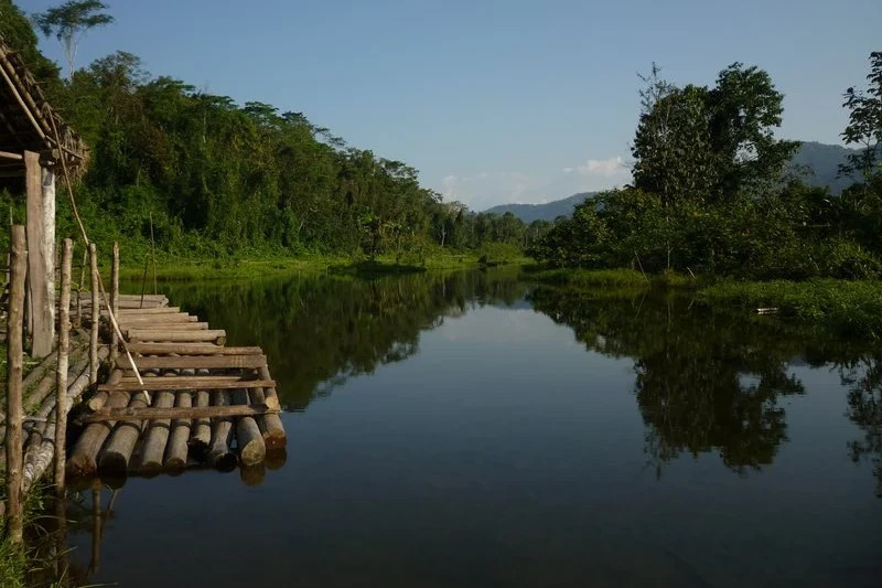 Navigating the Amazon Manu National Park's River Adventures