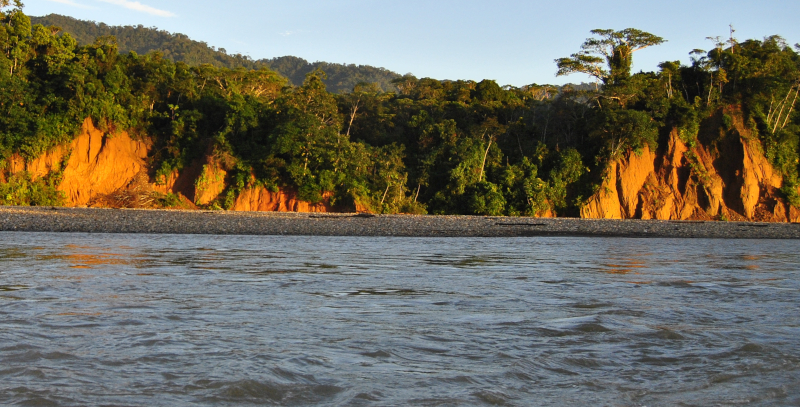 Navigating the Amazon Manu National Park's River Adventures