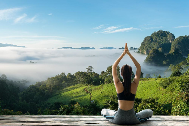 Meditation and Mindfulness Retreats in the Rainforest