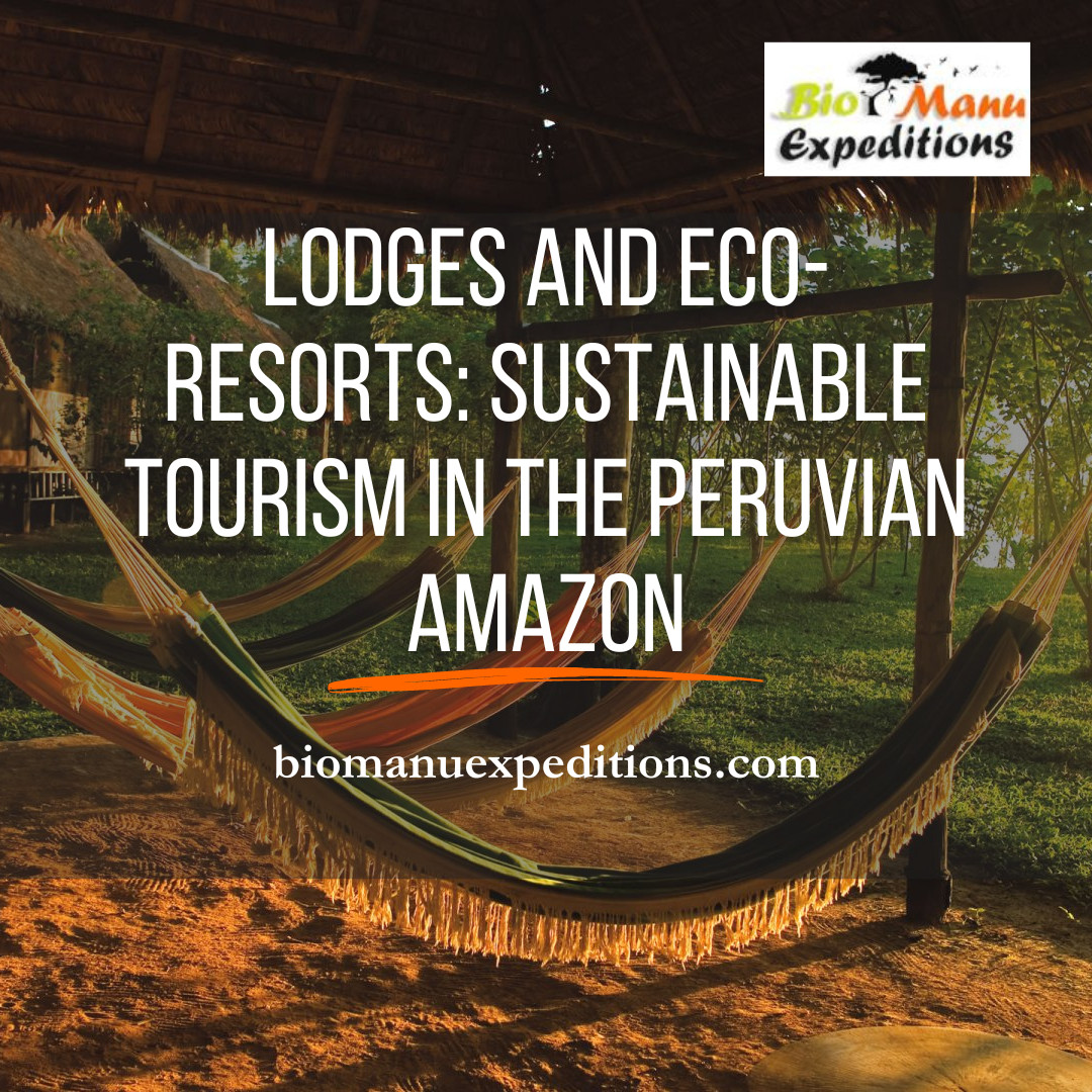 Lodges and Eco-Resorts: Sustainable Tourism in the Peruvian Amazon