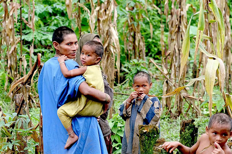 Indigenous groups of Manu