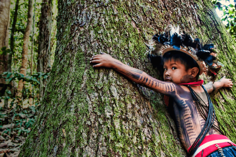 Ayahuasca Rituals: A Spiritual Journey in the Peruvian Amazon