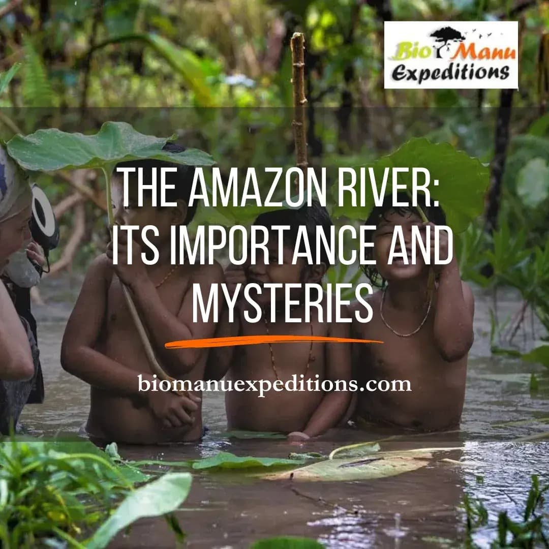 The Amazon River Its Importance and Mysteries