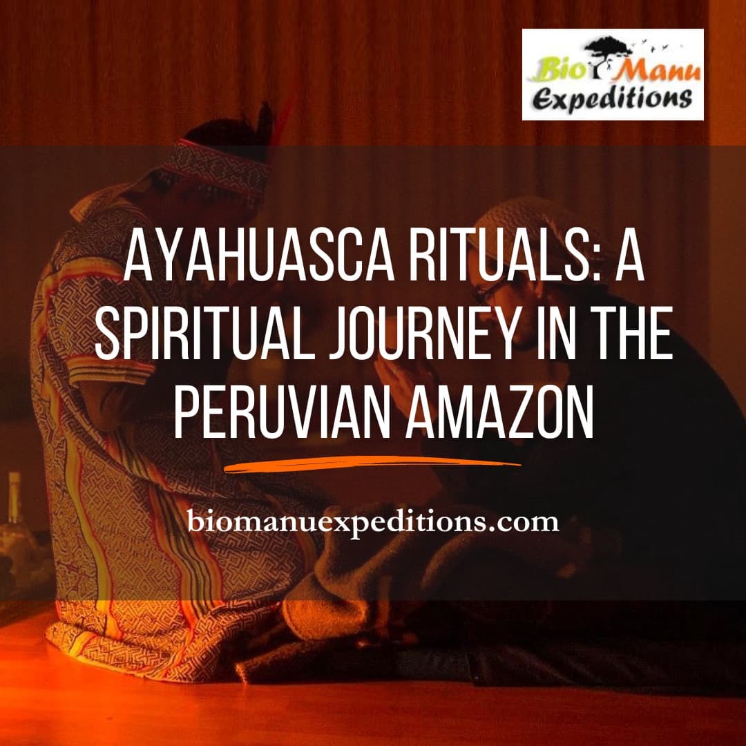 Ayahuasca Rituals: A Spiritual Journey in the Peruvian Amazon