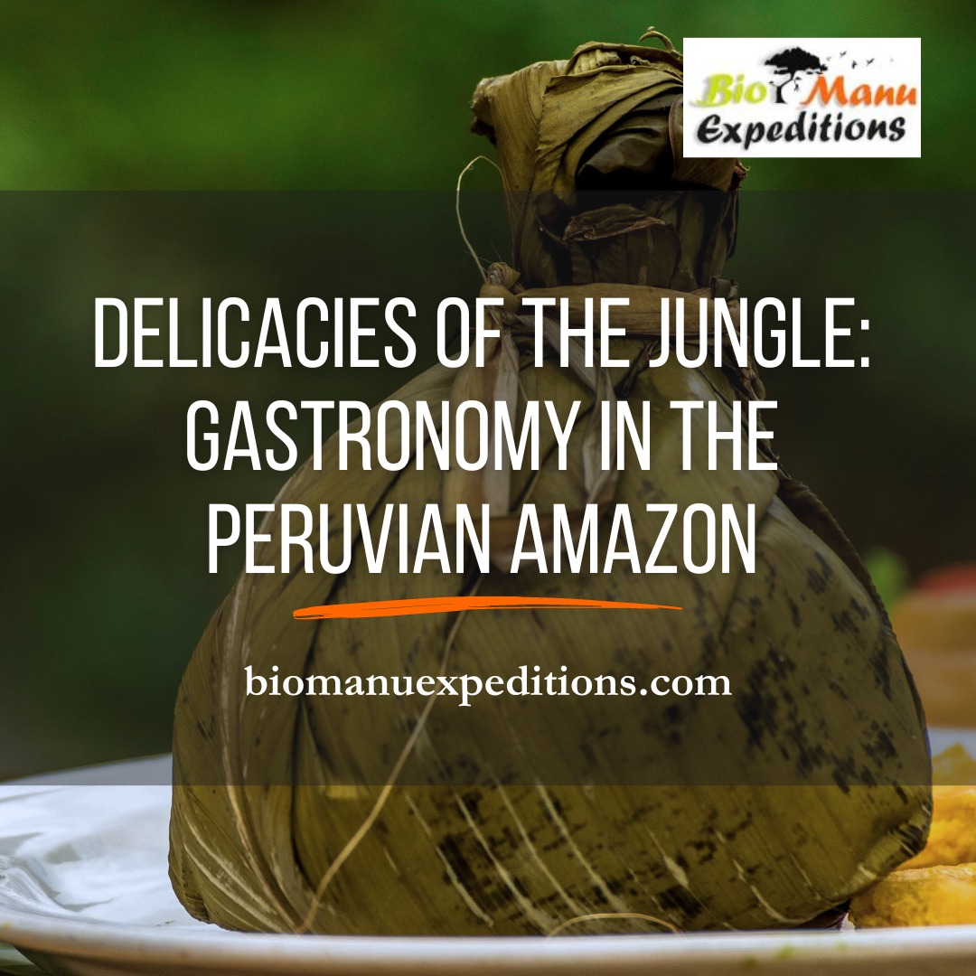 Delicacies of the Jungle: Gastronomy in the Peruvian Amazon