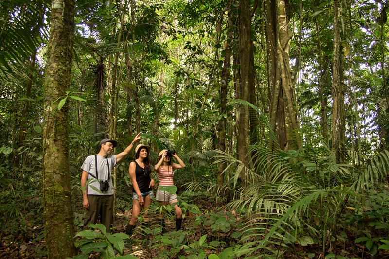 Ecotourism in the Amazon: Best Practices