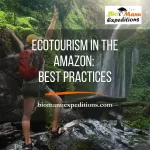Ecotourism in the Amazon: Best Practices