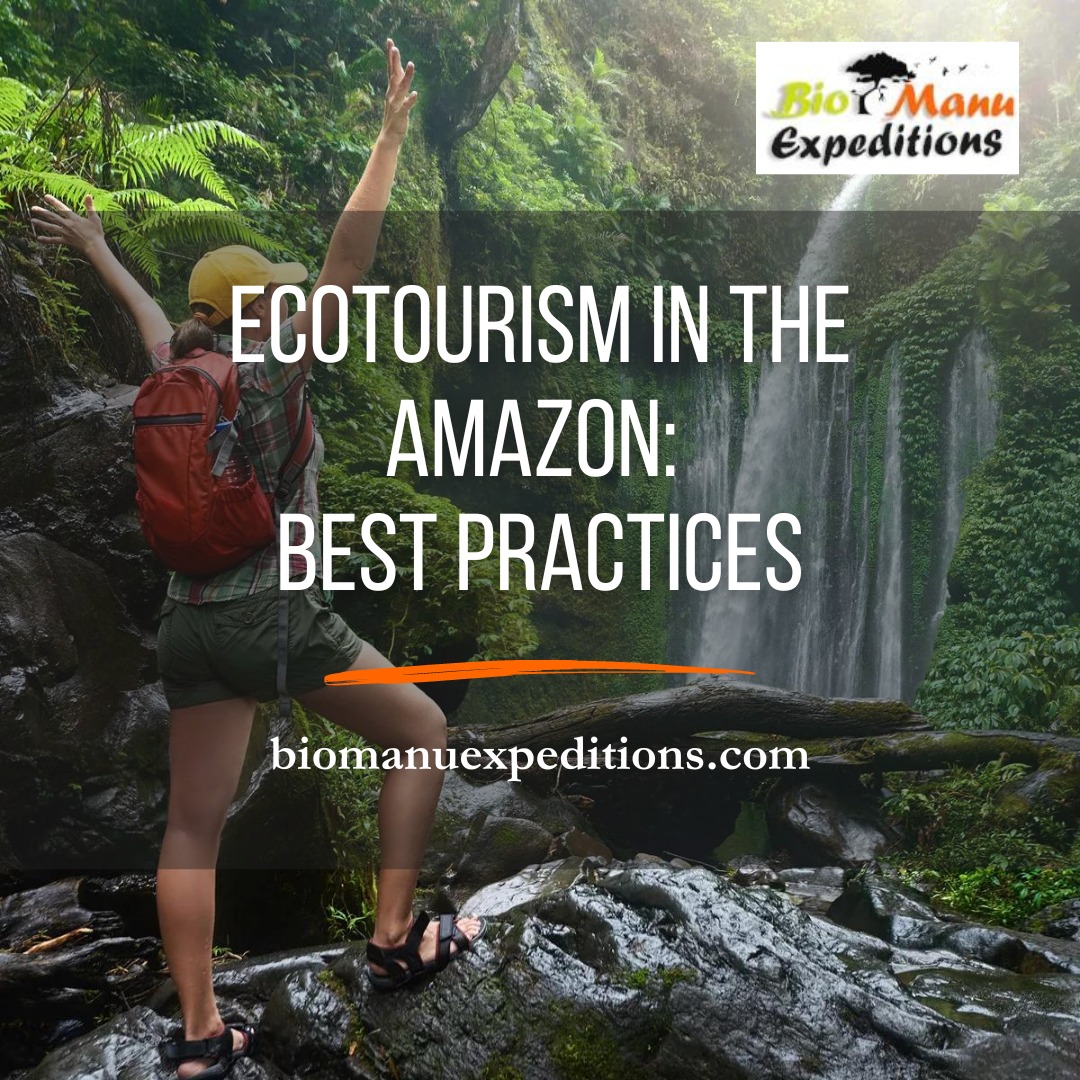 Ecotourism in the Amazon: Best Practices