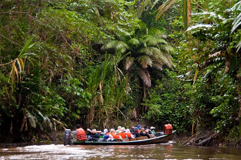 Practical Tips for Visiting Manu National Park