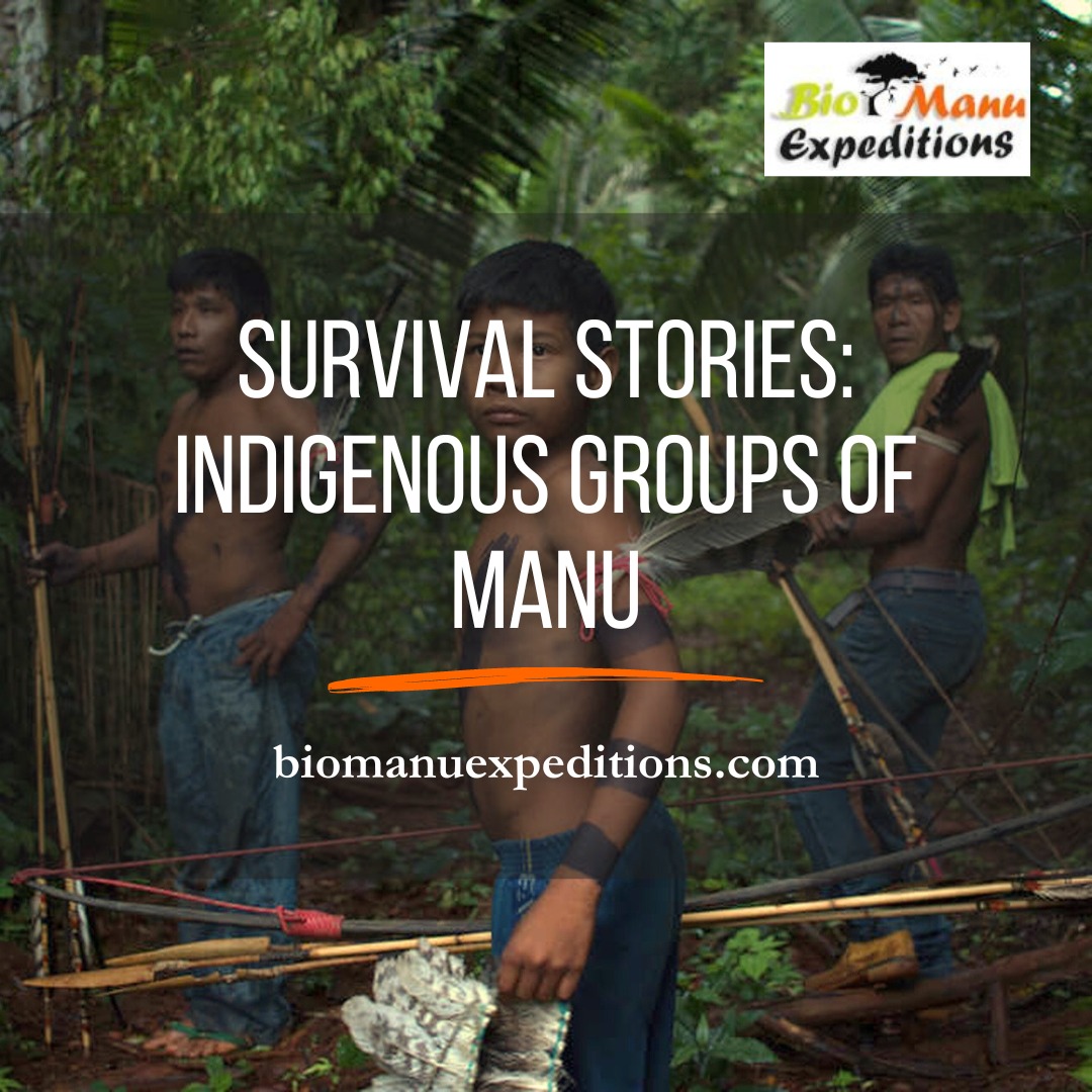 Survival Stories: Indigenous Tribes of Manu