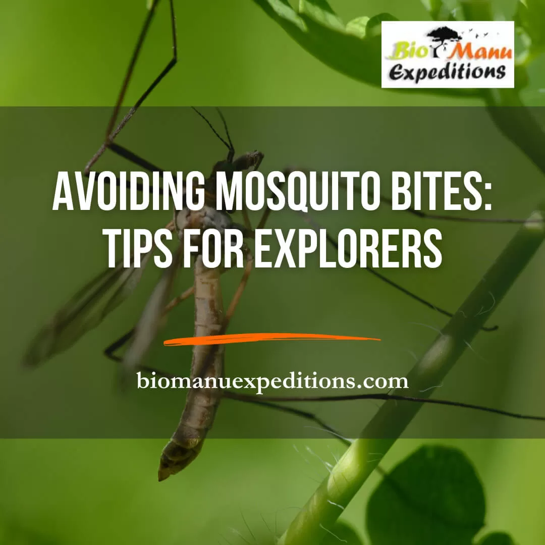 Avoiding Mosquito Bites