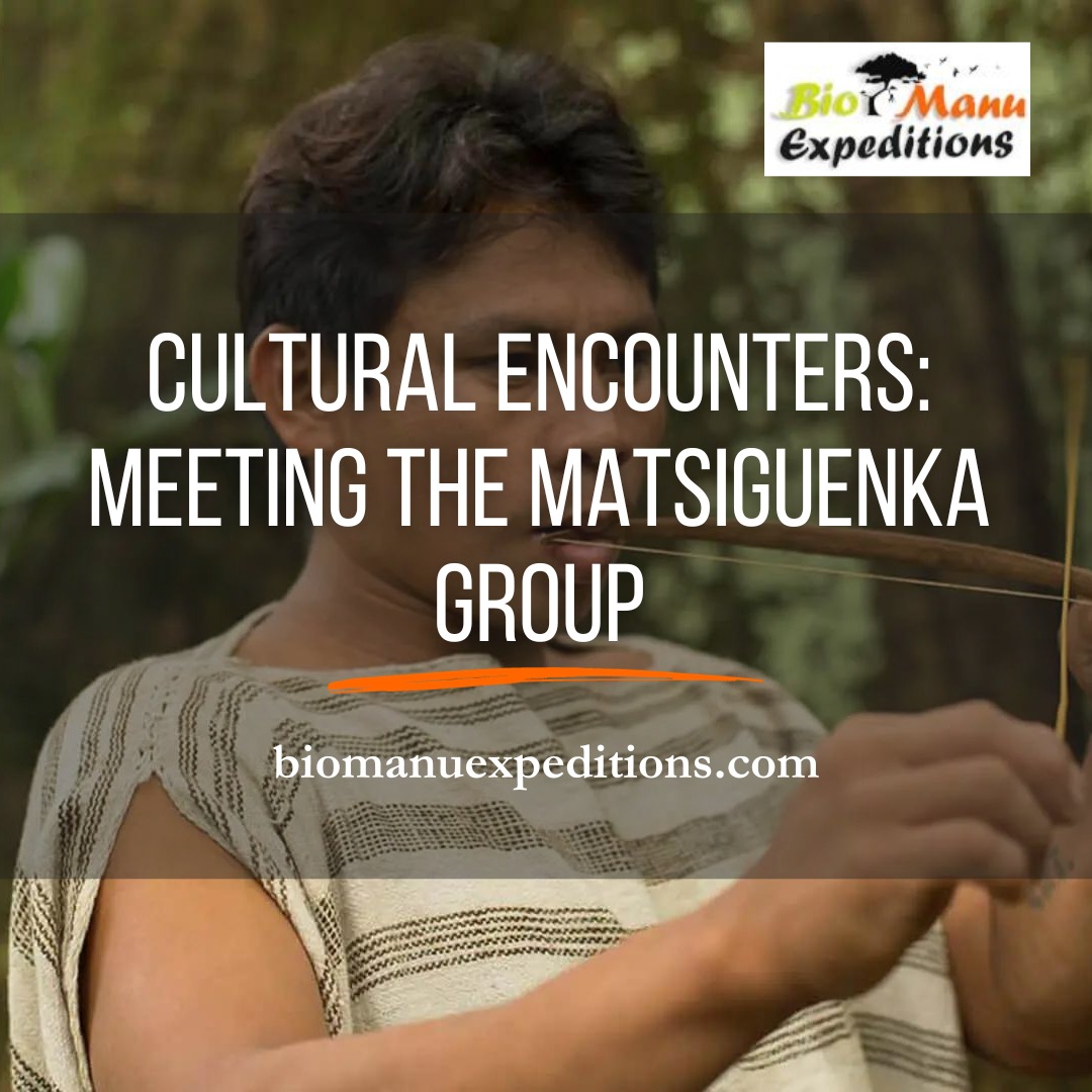 Cultural encounters: Meeting the Matsiguenka group