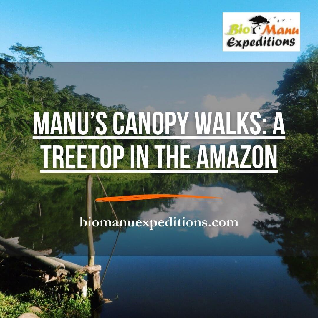 Manu’s Canopy Walks