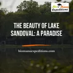 Lake Sandoval