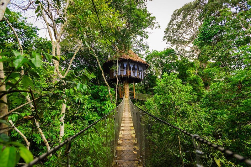 Treehouse lodges: Experiencing the Amazon from above