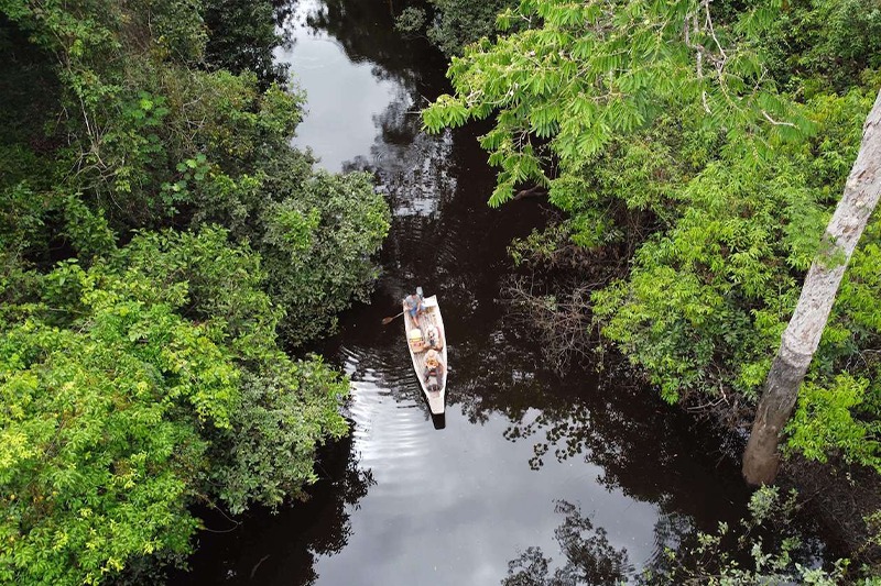 Treehouse lodges: Experiencing the Amazon from above