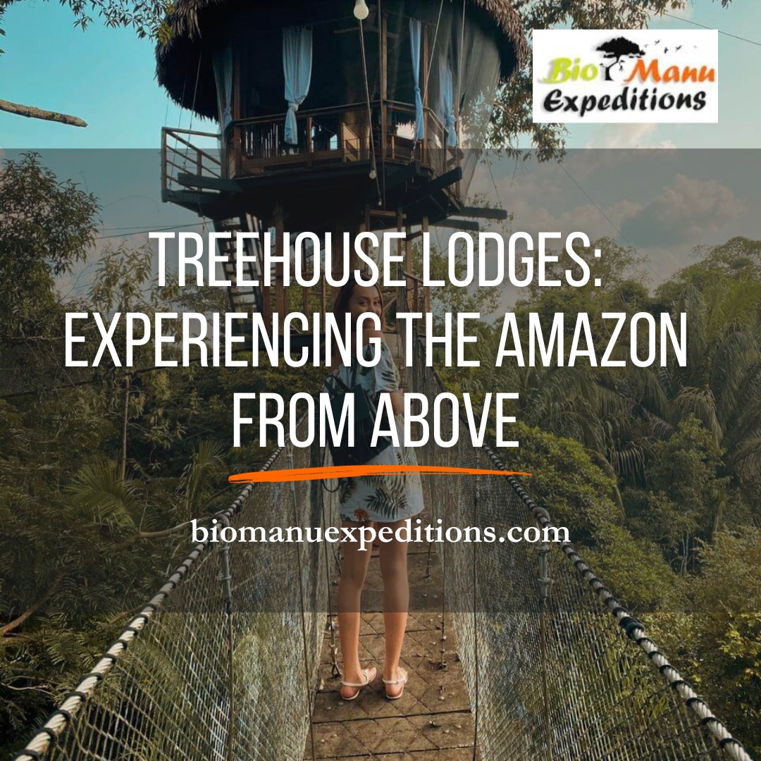 Treehouse lodges: Experiencing the Amazon from above