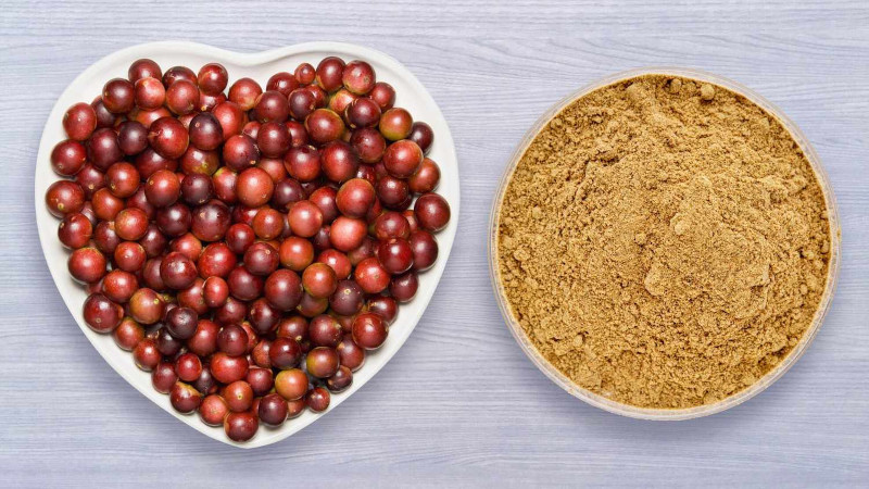 Unearthing the Power of Camu Camu Berries