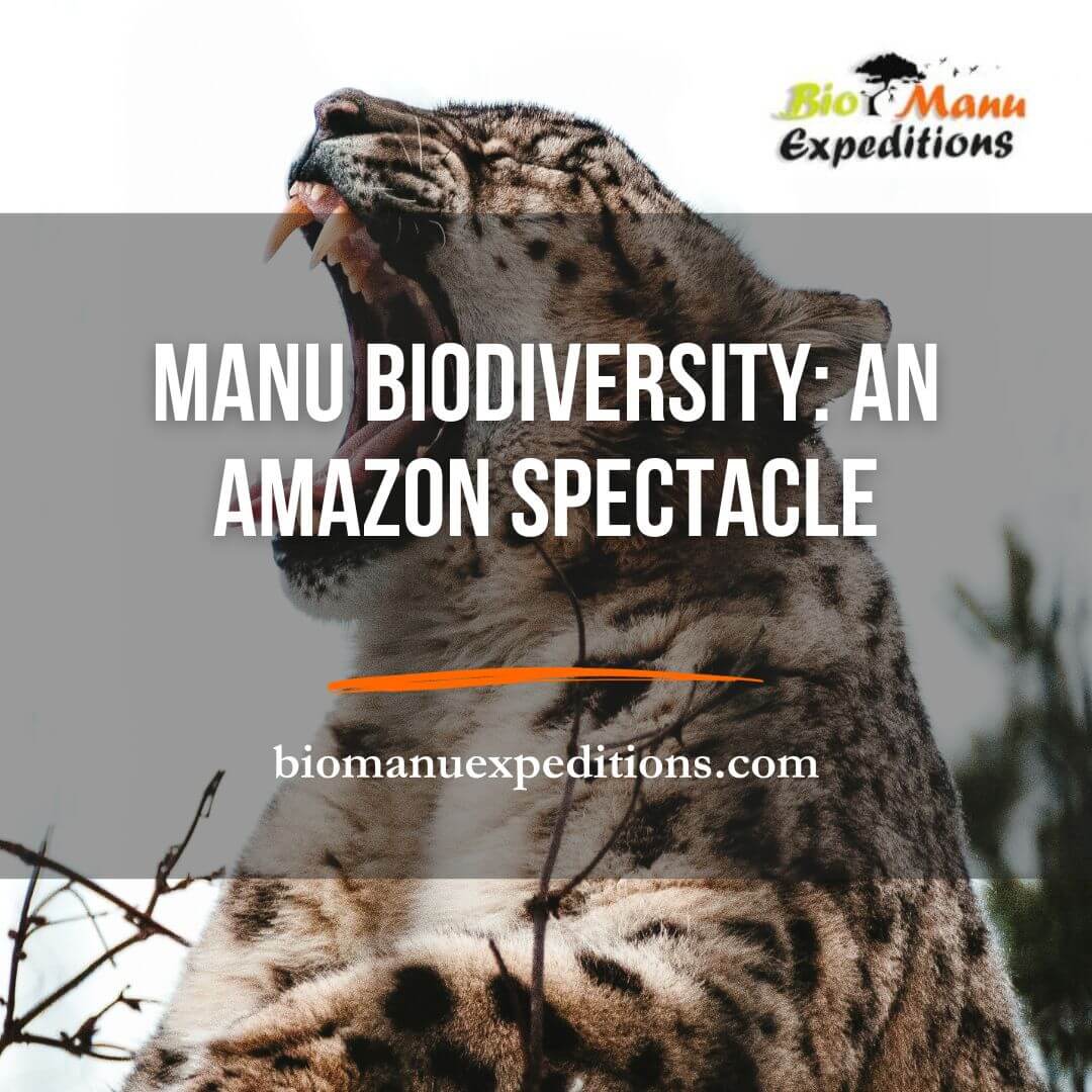 Manu Biodiversity: An Amazon Spectacle