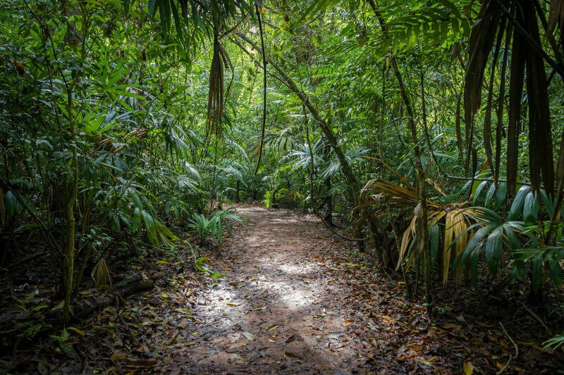 Manu National Park Weather