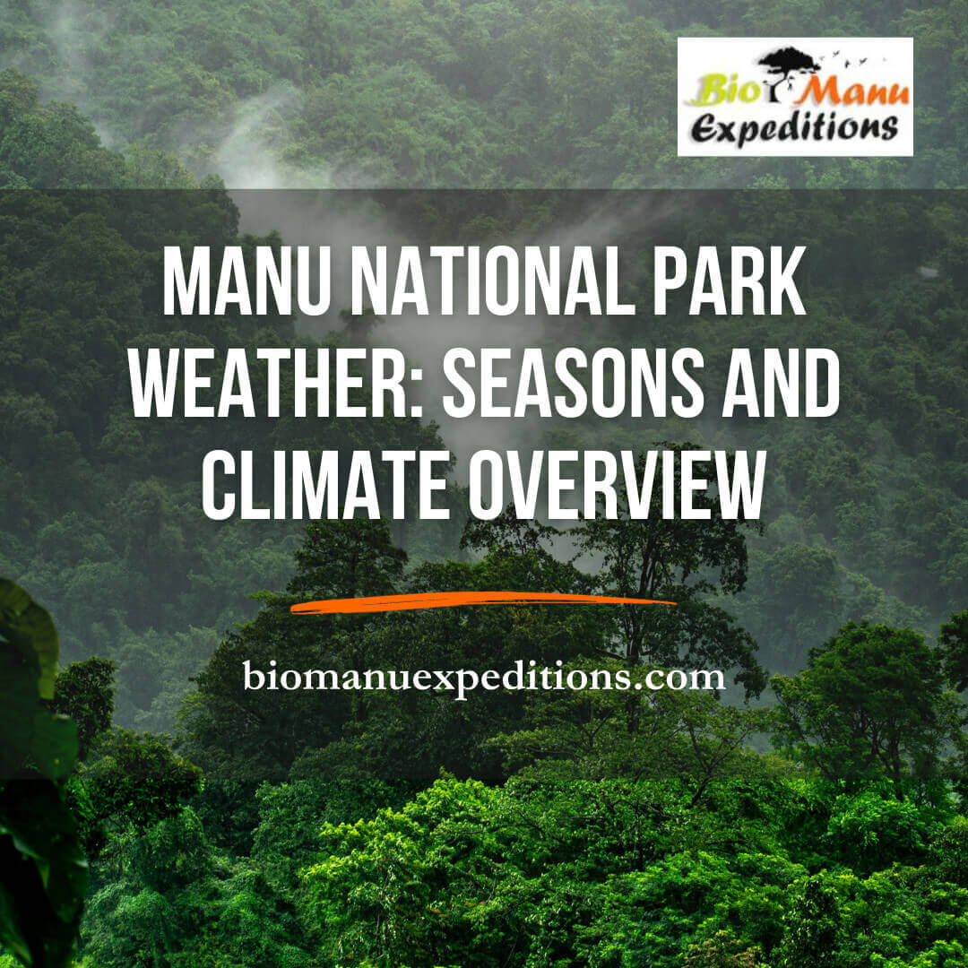 Manu National Park Weather