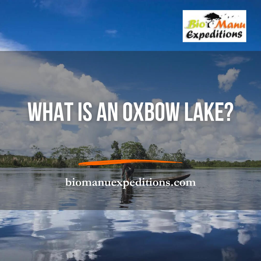 What is an oxbow lake