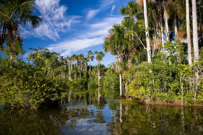 What is an oxbow lake