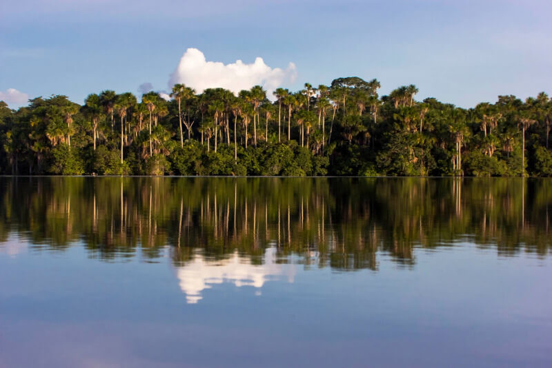 What is an oxbow lake