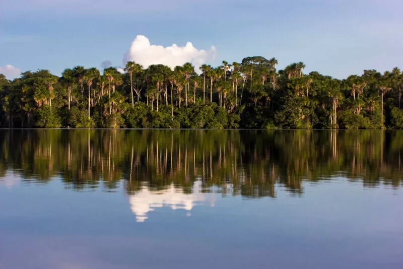 What is an oxbow lake