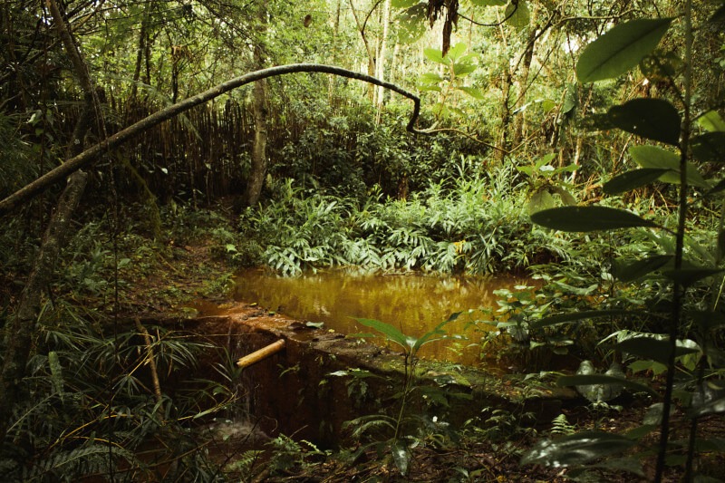 Peruvian Amazon Communities