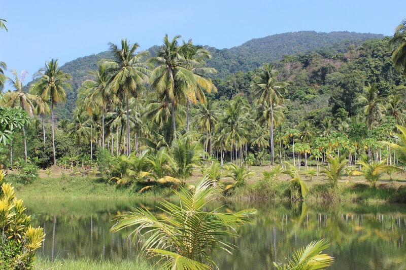 Manu River Expeditions